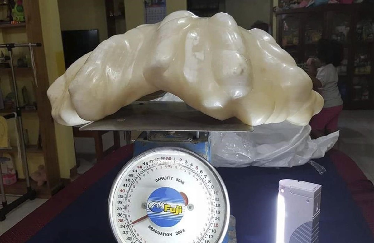Una perla de 34 kilos espera la certificacion de las mas grande del mundo